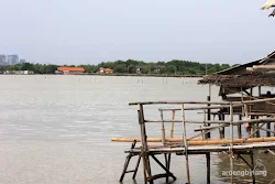 pulau cangkir kronjo tangerang