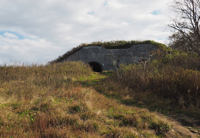 Владивосток, остров Русский, мыс Тобизина - форт