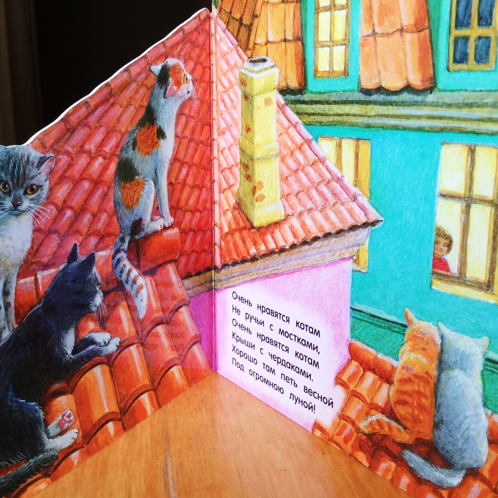 кот в квартире. где живет коте. домики для домашних животных. детям о кошках в детском саду. кот на крыше.