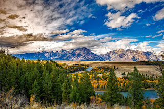 Physical/Natural Environment Physical/Natural Environment