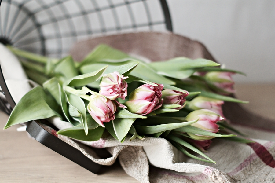 FLOWERDAY - Ein Hauch von Rosa