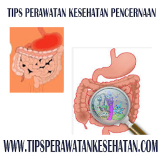 Tips Perawatan Kesehatan Pencernaan