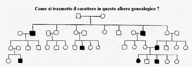 Esercizi Alberi Genealogici Zanichelli Con Soluzioni Science For Passion: Alberi genealogici e trasmissione ereditaria delle