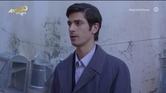 «Άγριες Μέλισσες»: Αυτή ερωτεύεται τον Λάμπρο στον Διαφάνι! Δεν πάει το μυαλό σας