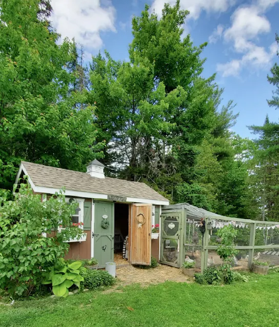 Chicken coop with landscaping