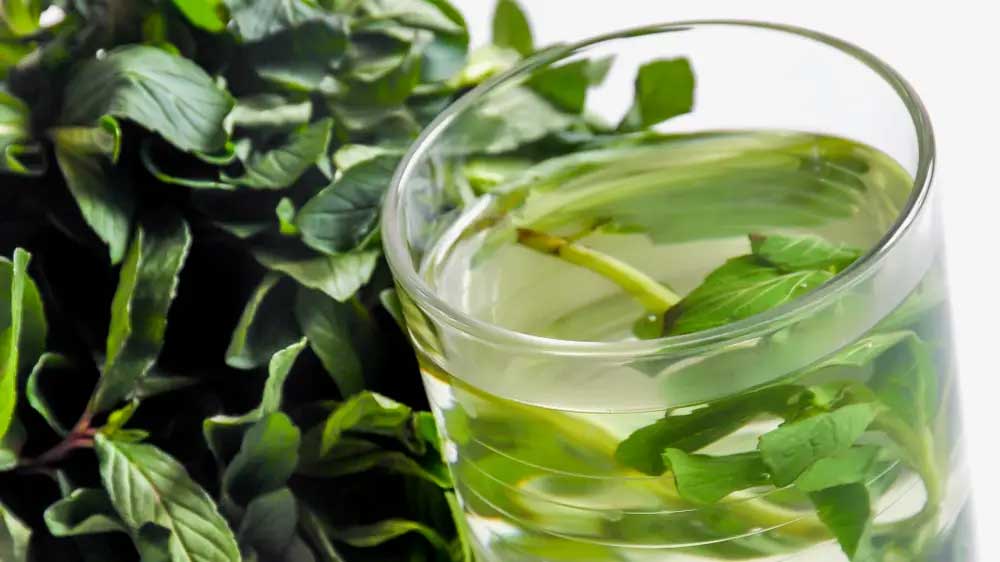 The Best Natural Remedies For A Stomach Ache, According To A