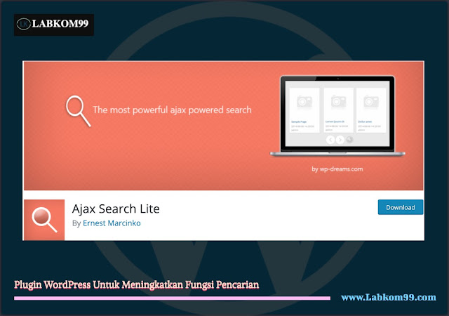 Plugin WordPress Untuk Meningkatkan Fungsi Pencarian