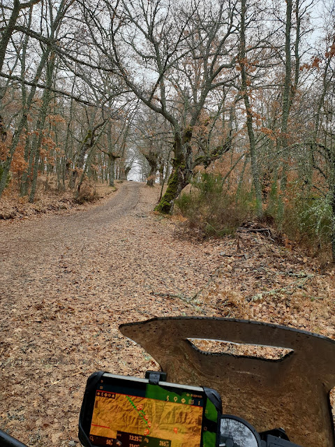 bmw f800 gs