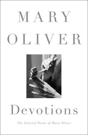 mary oliver evidence poems mary oliver evidence poems