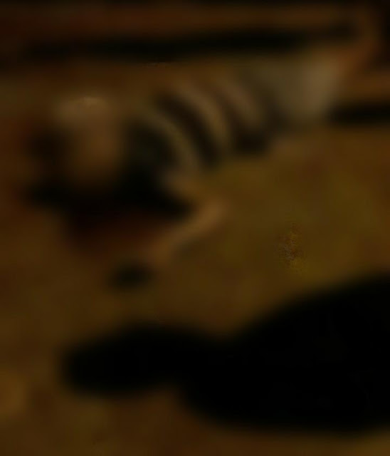 Acusado de matar idoso de 72 anos é preso, na zona rural de São Luís