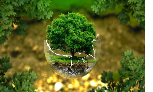 Ruang Lingkup Biologi Pembahasan Lengkap Serta Contohnya Ittekcno