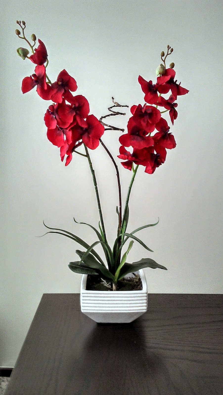 Samara Flores: Orquídeas vermelhas e mini chuvas de ouro
