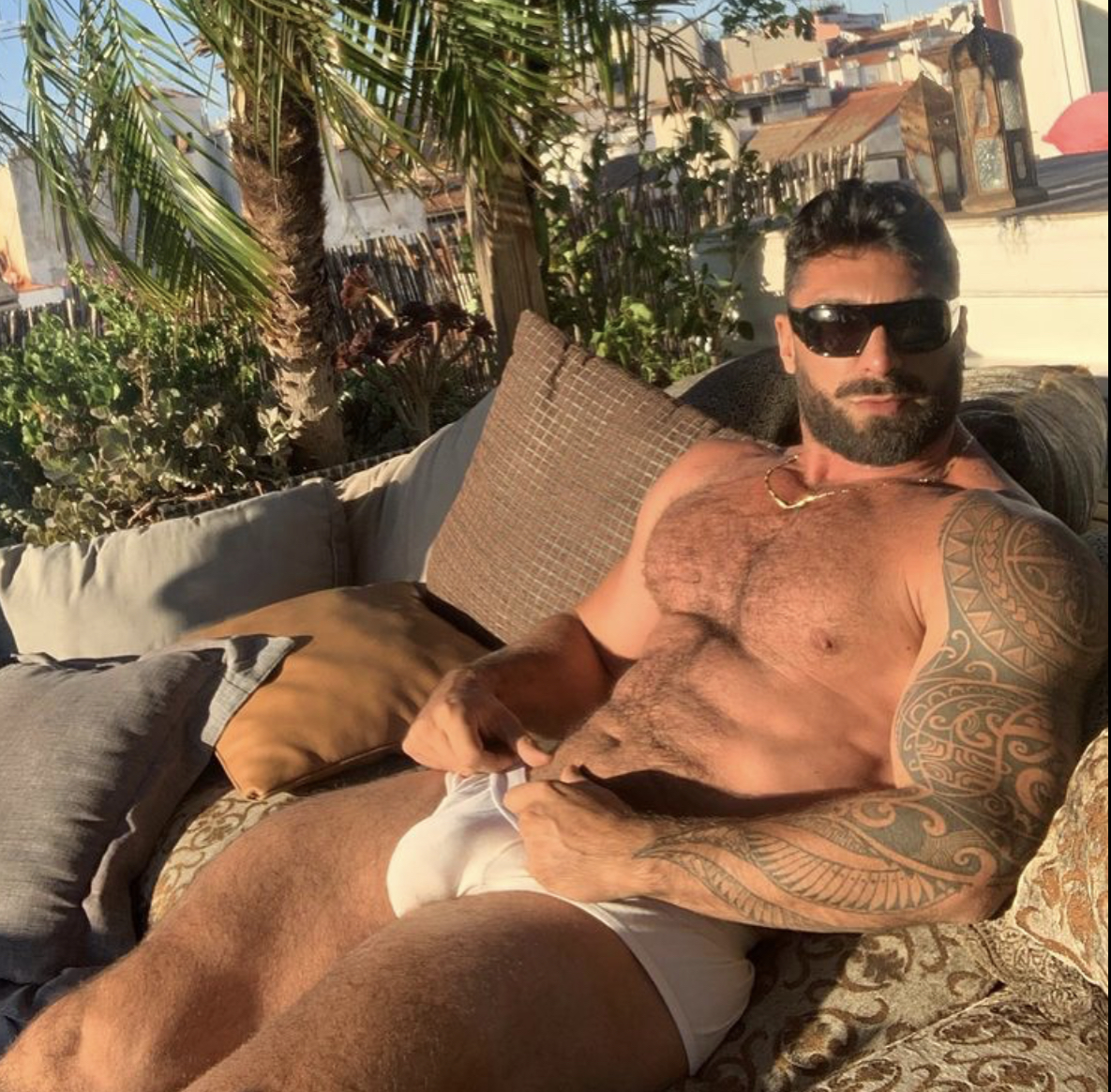 Fabio muscle