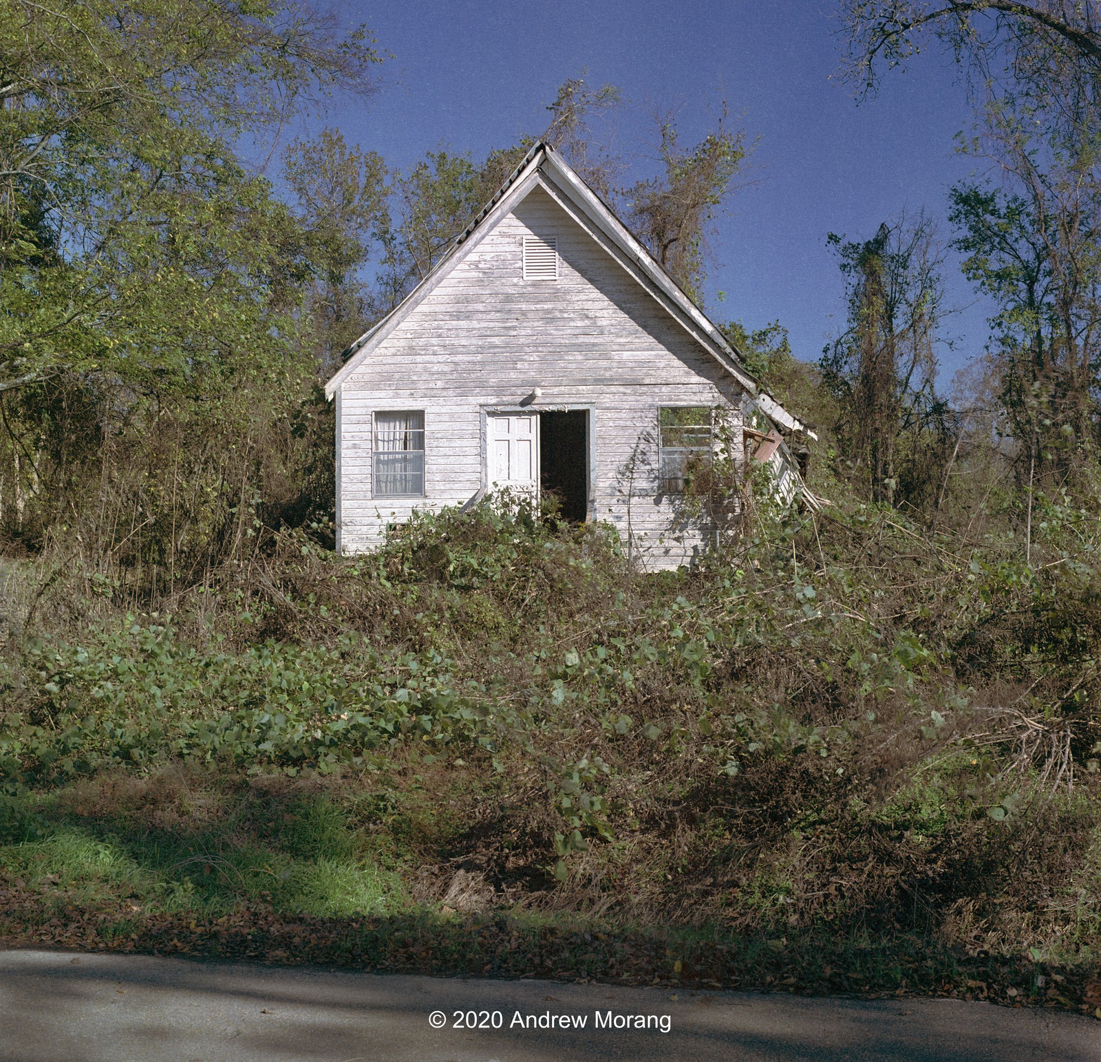 Urban Decay Expired Film Treasure 120size Kodak Ektar 25 (Abandoned