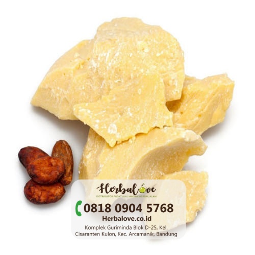 supplier cocoa butter Lamongan” height=
