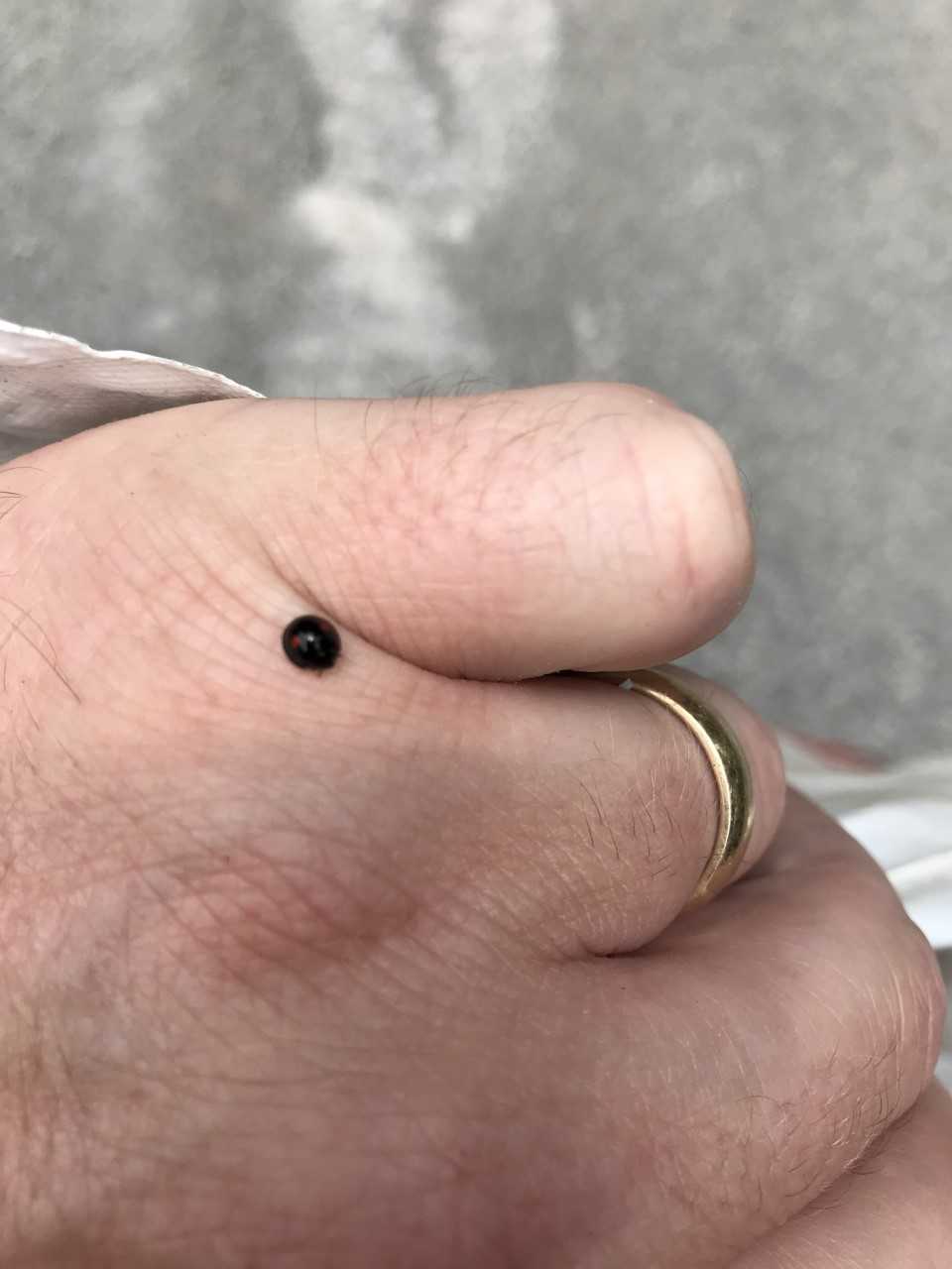 Highlands Country Club Agronomy Tuesday