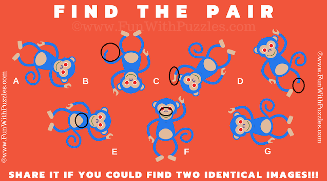 Test Your Observation with Monkey Match Puzzle Answer