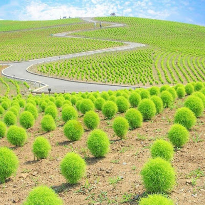 10 Tempat Wisata di Jepang Terpopuler 10 Tempat Wisata di Jepang Terpopuler