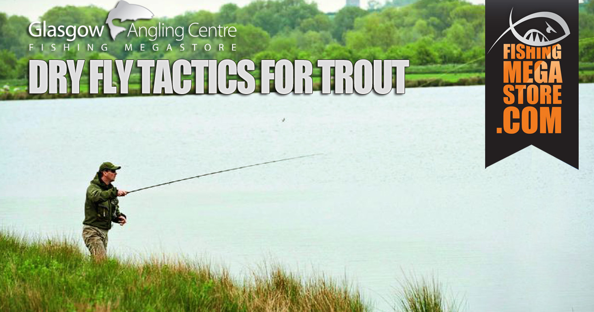 Dry Fly Tactics for Trout