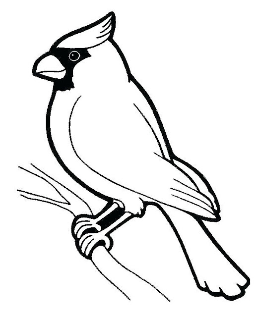 Top 12 Most Beautiful Bird Coloring Pages Free To Print Online