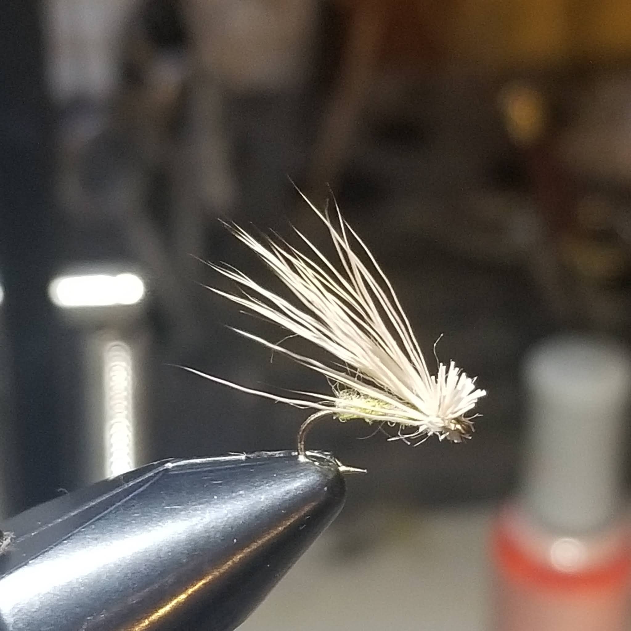 Welcome to the Millers River Fly Fishing Forum : 2020