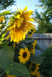 sunflower painting watercolor wet sunflowers method direct sally resource water flower ellis cannon adventures