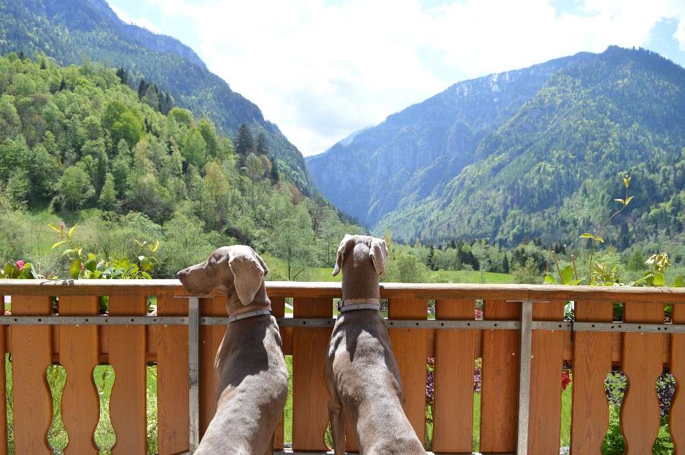 Cosa vedere a Fiera di Primiero