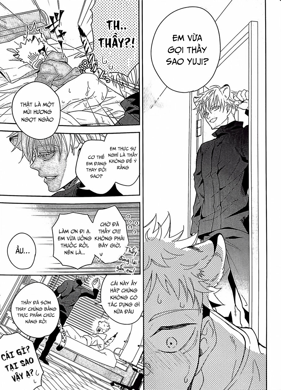 Đọc truyện Jujutsu Kaisen Omegaverse cat - Chapter 1