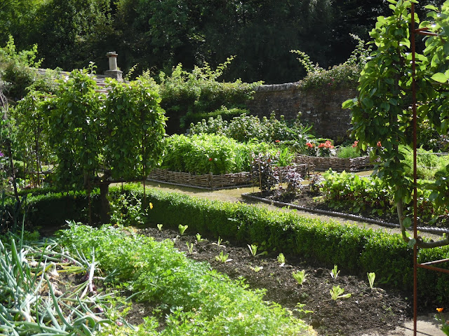 Gresgarth Hall Garden angielski ogród kuchenny, warzywny