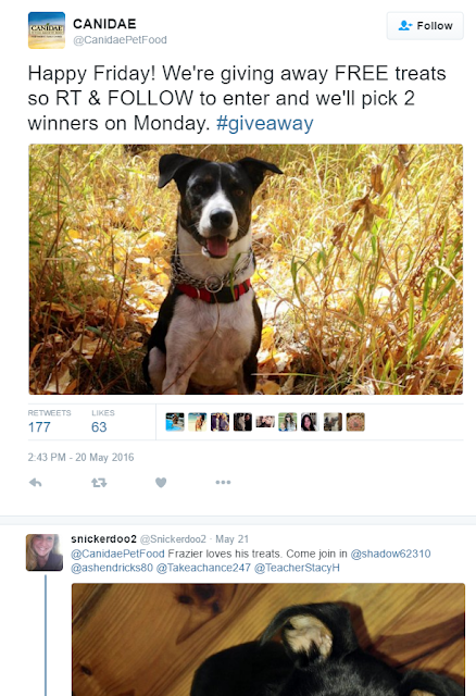 Tweet regarding a contest for free dog treats!