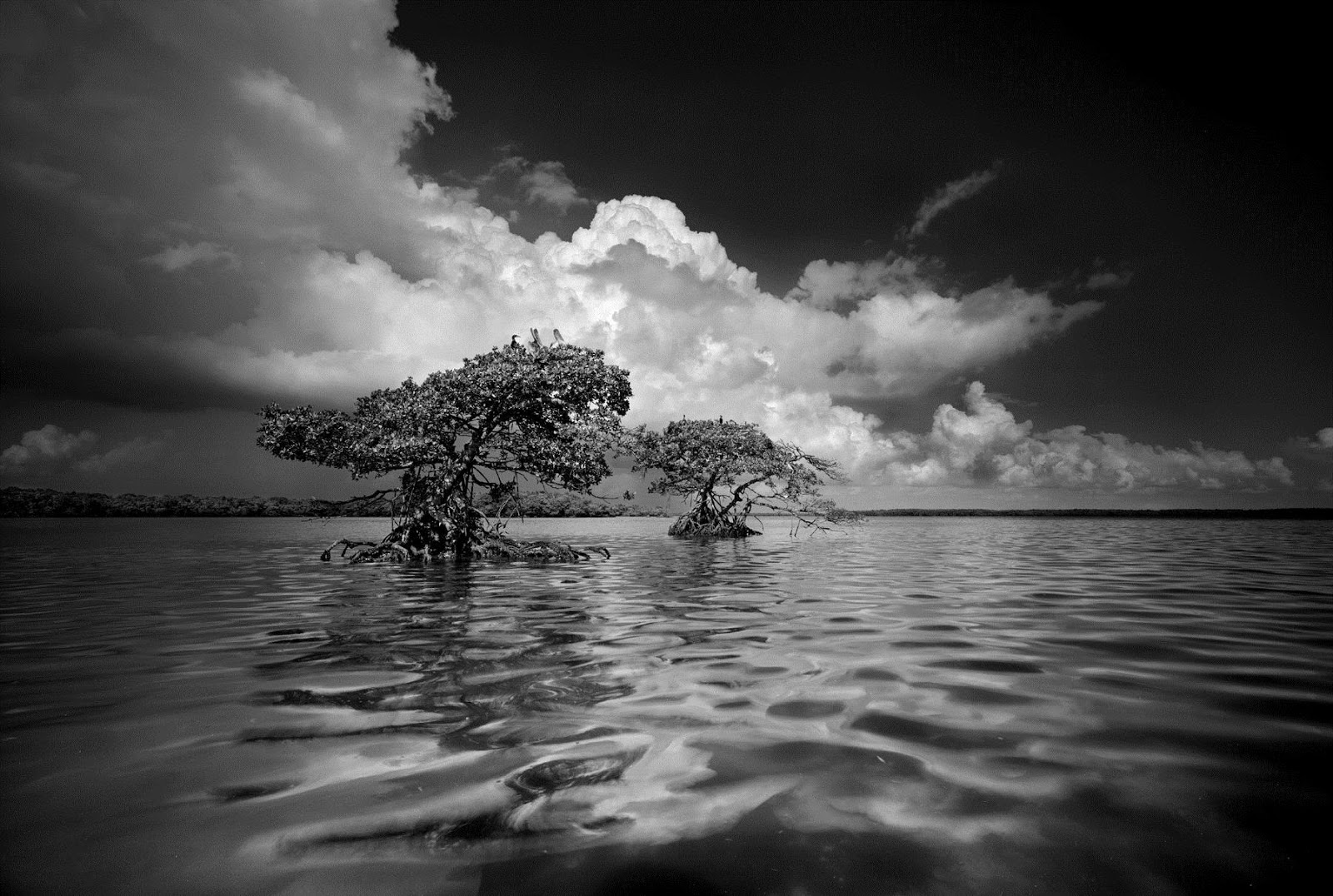 As fantásticas paisagens em preto e branco de Clyde Butcher Resumo Fotográfico As fantásticas paisagens em preto e branco de Clyde Butcher Resumo Fotográfico
