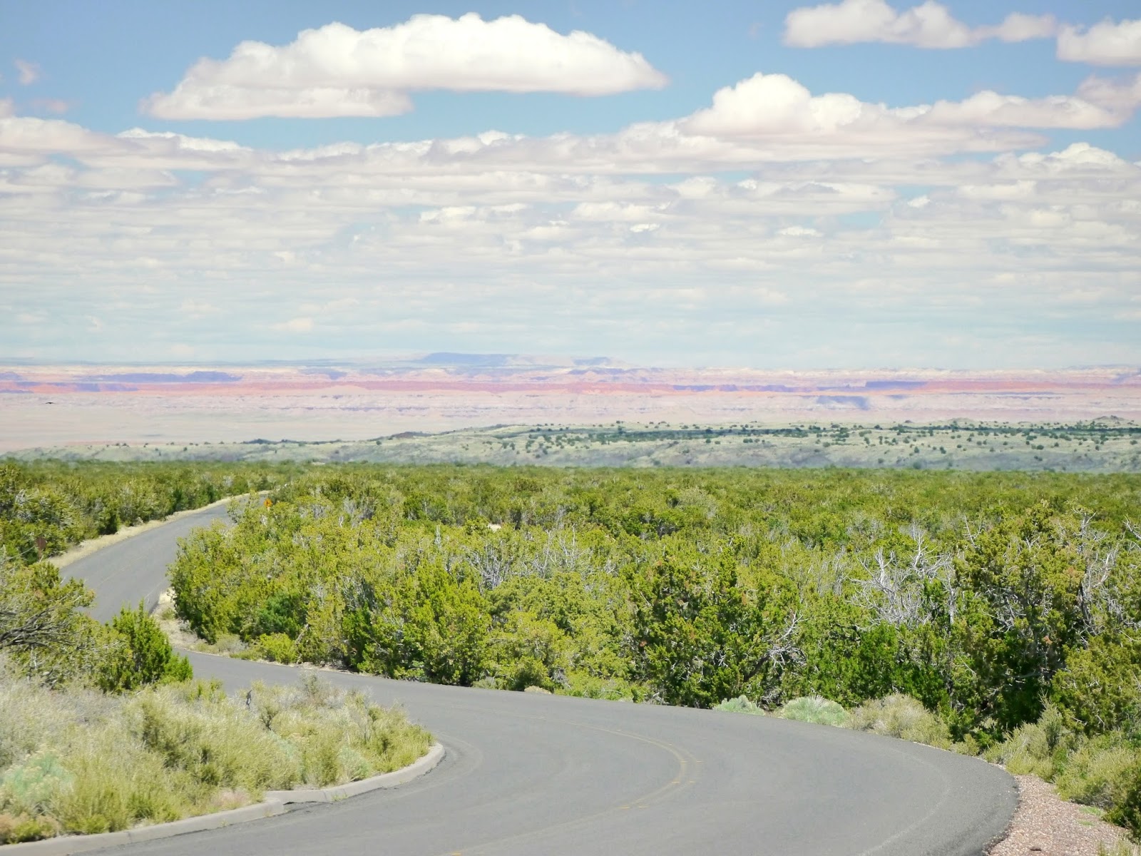 American Travel Journal Painted Desert Vista Coconino National Forest