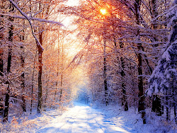 wallpapers winter desktop backgrounds background screensavers scenery landscape wonderland forest wintery christmas landscapes scene winters google scenes country want