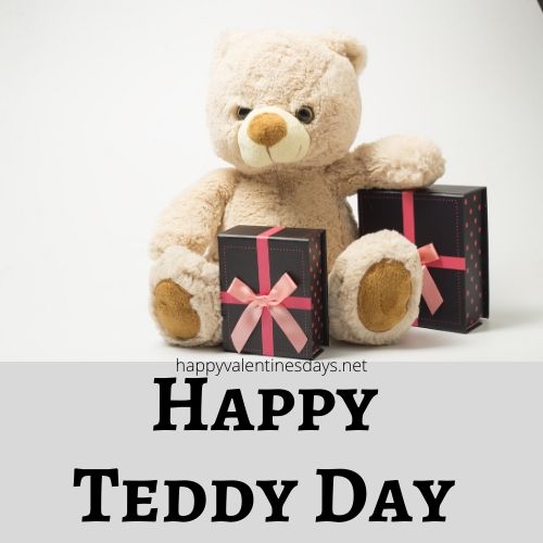 happy-teddy-day-images