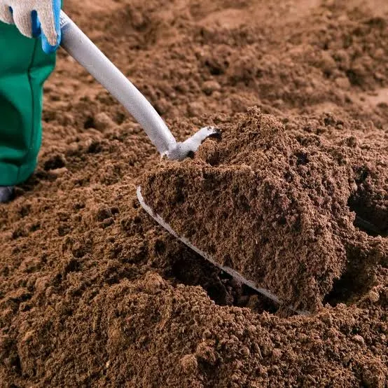 Lapisan tanah top soil