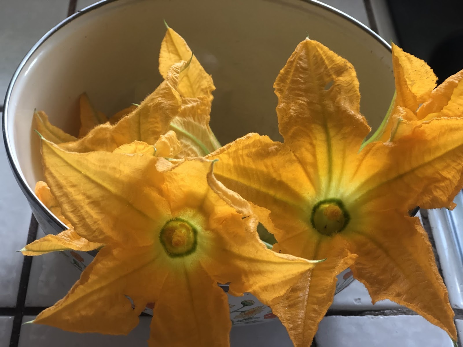 What's On Tonight & Pop Culture 🌺 Feed Me Fried squash Blossoms