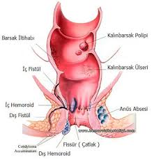oral seks hastalıkları oral seks hastalıkları
