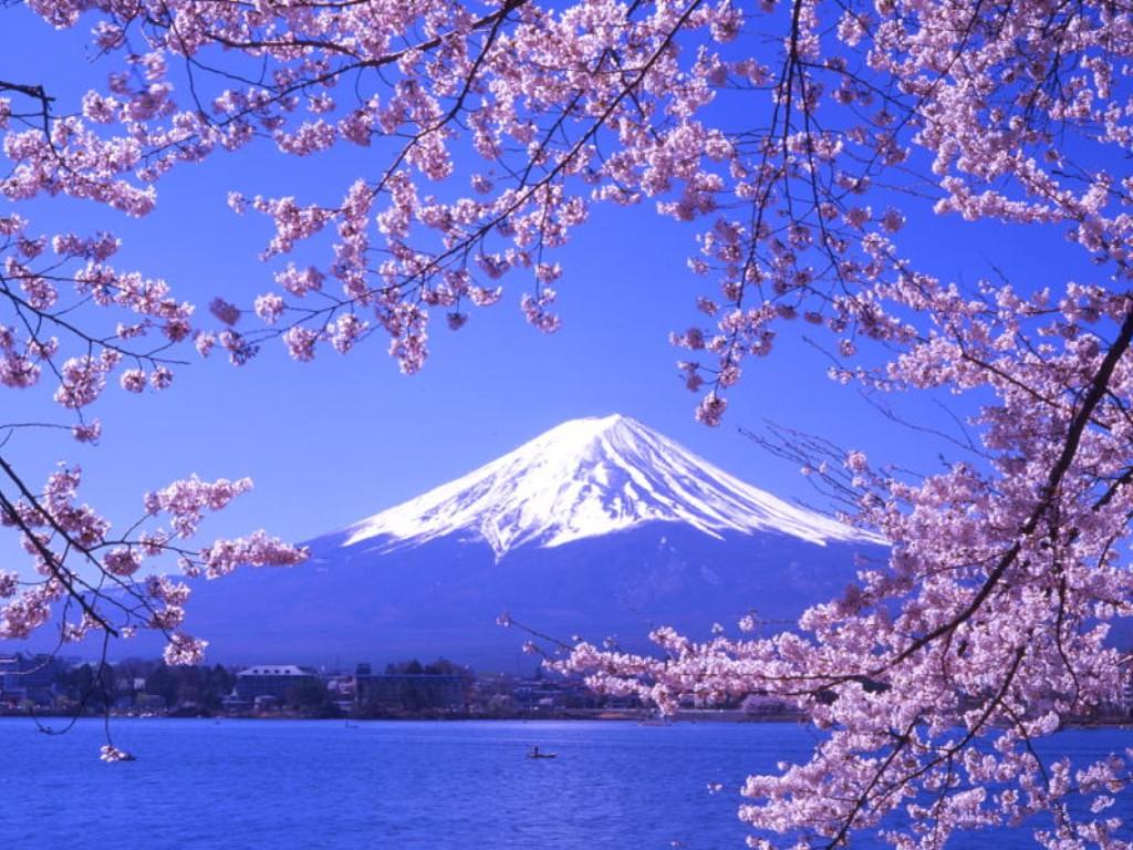 Images Collection: Mount Fuji