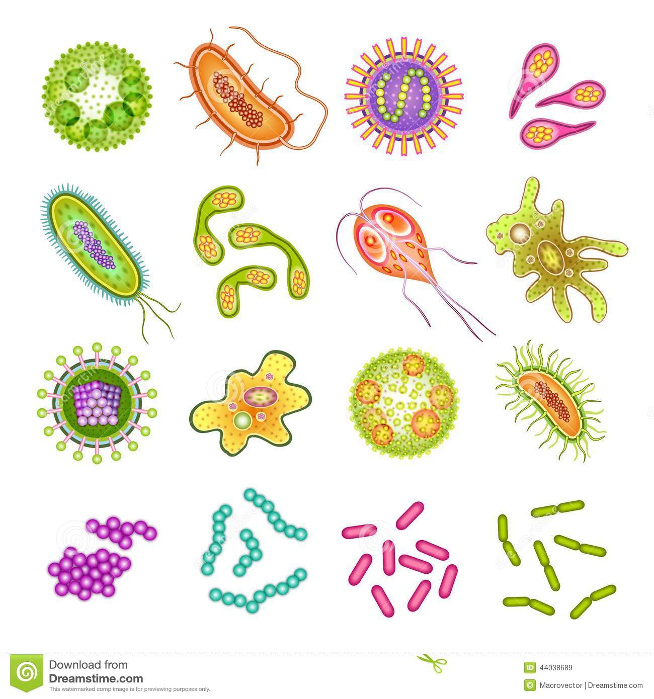 Bacterias - virus