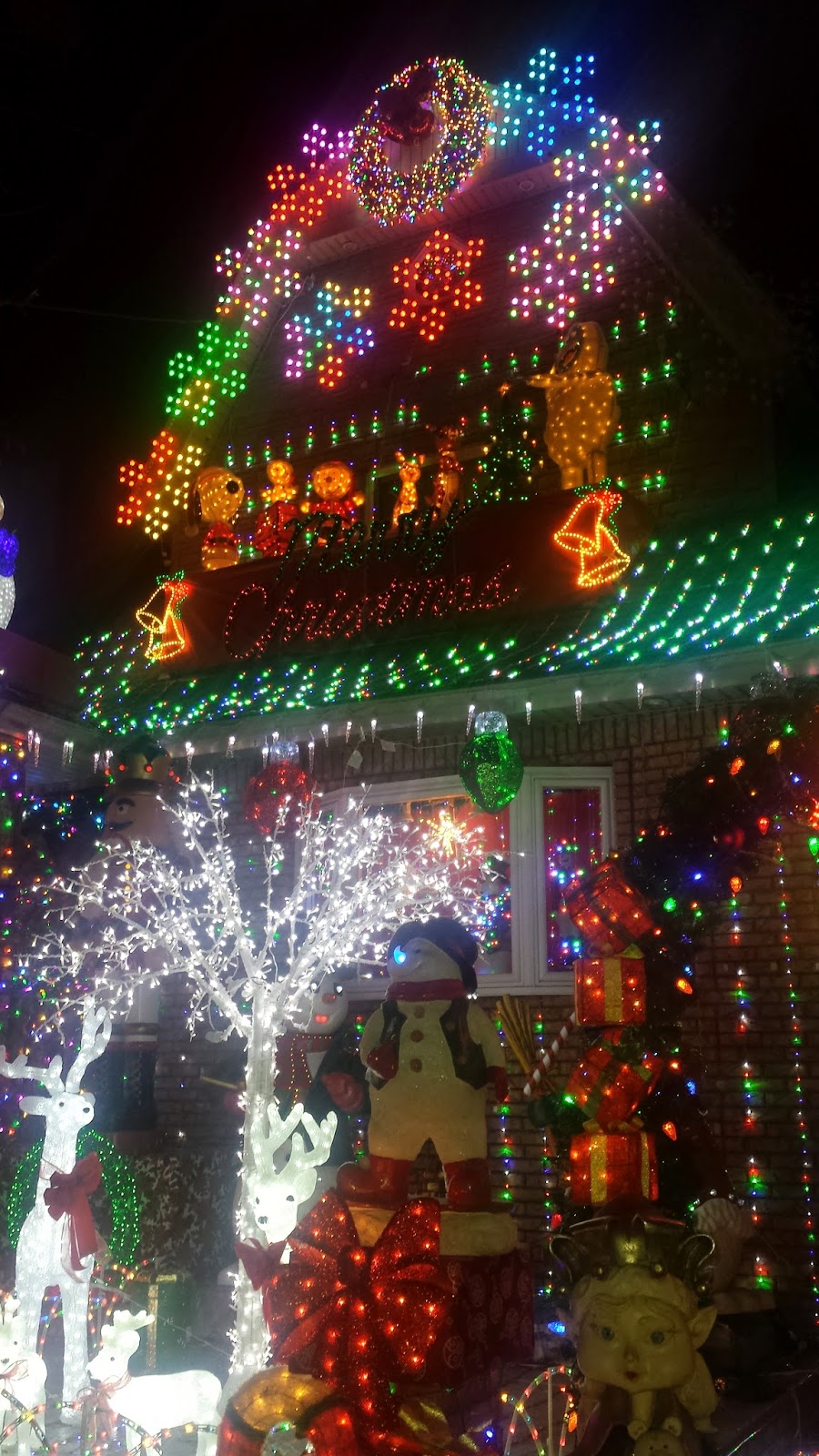Christmas Lights in Bensonhurst, Brooklyn.