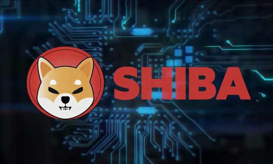 Shiba coin price usdt