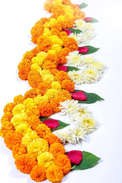 border simple flower rangoli design border flower rangoli design