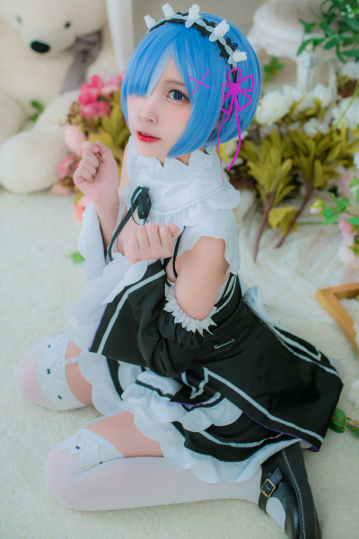 Read more about the article [二佐Nisa] Rem (レム 蕾姆) Vol.01 Re:ゼロから始める異世界生活