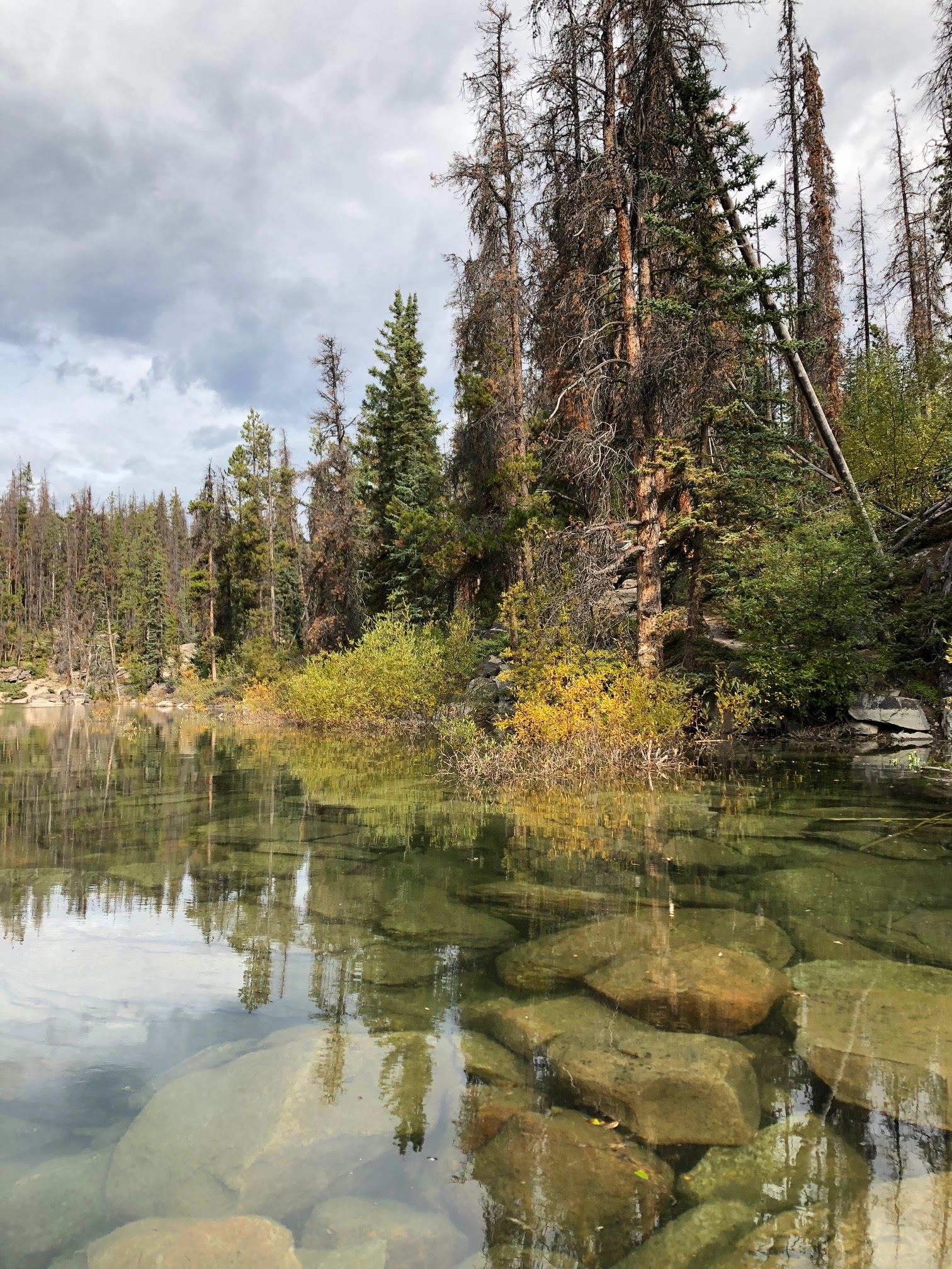 Paddling Near Edmonton, Alberta, Canada Horseshoe Lake, Jasper