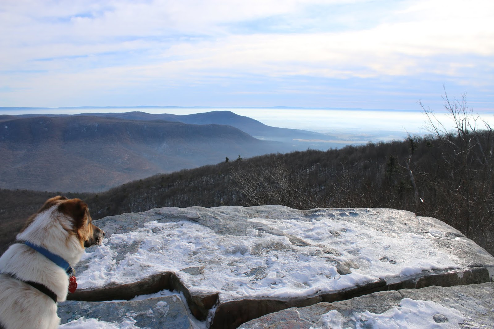 The Stunning Big Mountain Overlook, Tower Road Vista, Fort Loudon, PA
