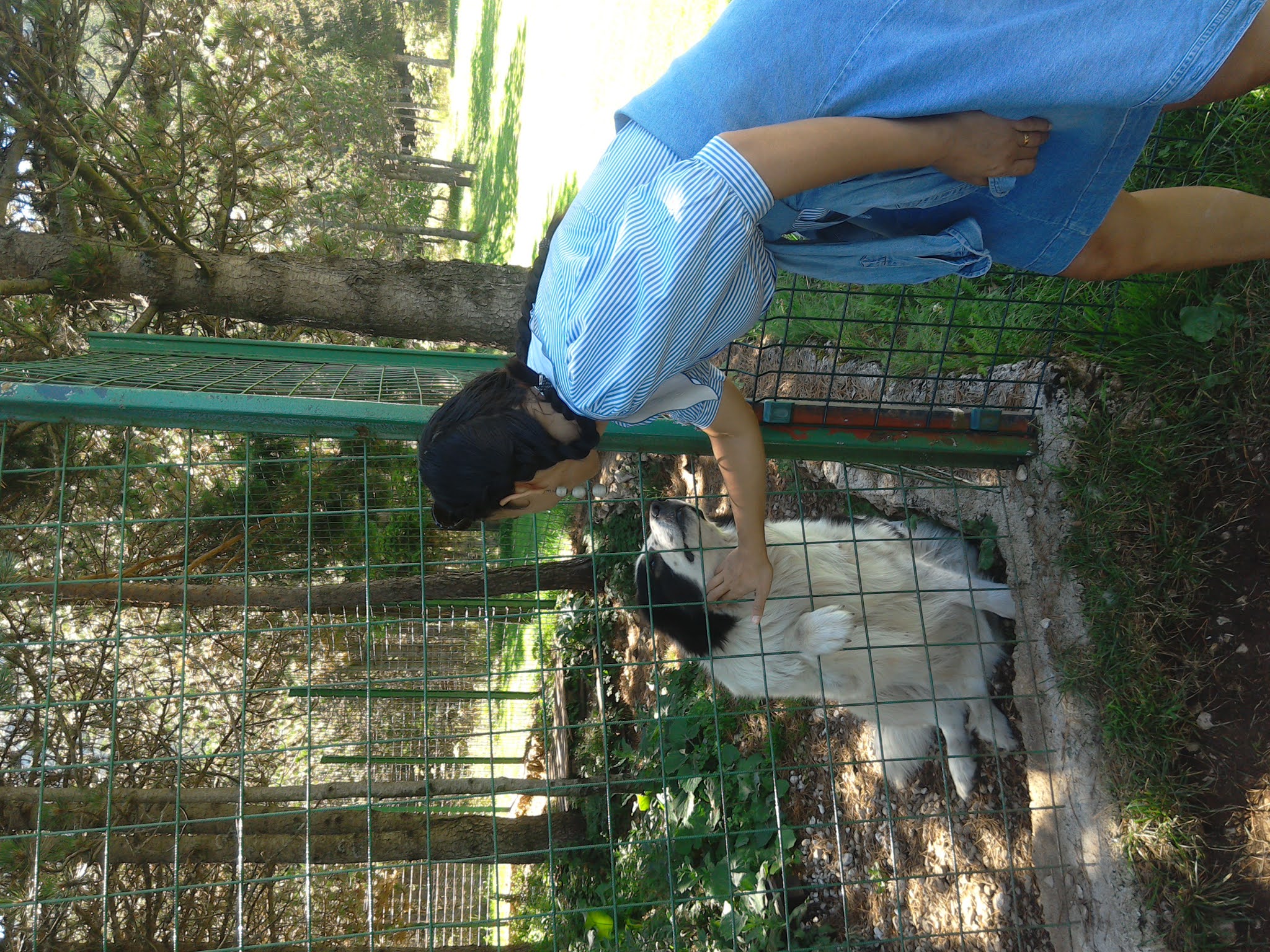 #modaodaradosti #tornjakdog #blidinje