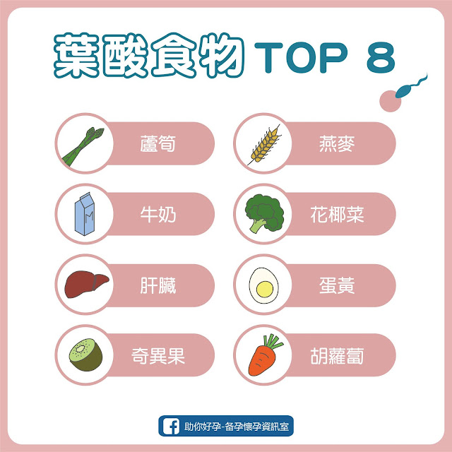 葉酸食物top8
