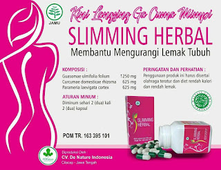 Nama Obat Kapsul Herbal Untuk Mengecilkan Perut Buncit 