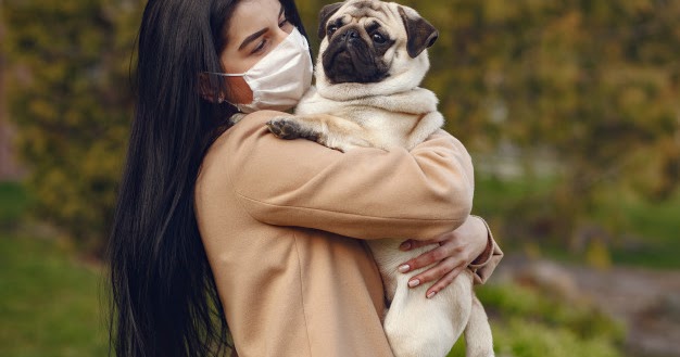 Coronavirus and Pets: What You Need To Know