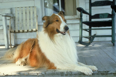 Lassie 1994 Movie Image 5